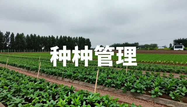 病虫害防治：土壤管理中选型的关键考量